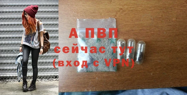 индика Балахна