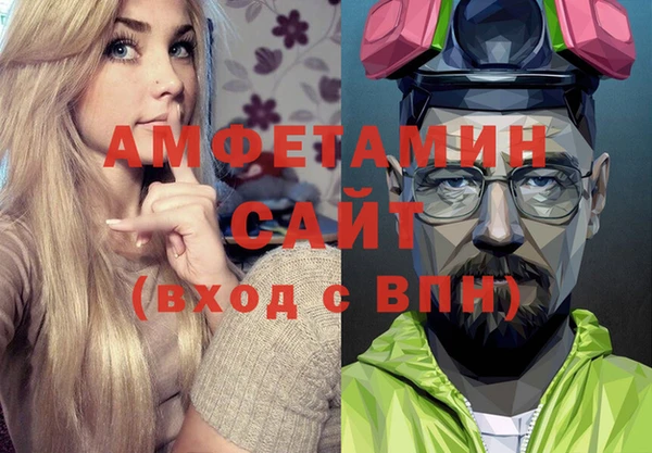 индика Балахна