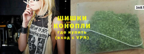 прущие грибы Артём