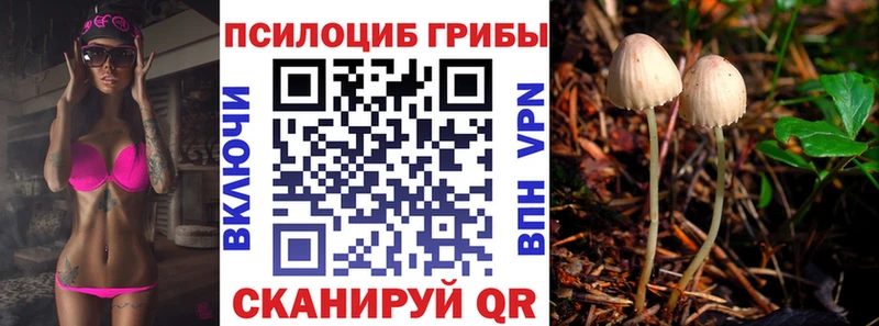 продажа наркотиков  блэк спрут   Галлюциногенные грибы Psilocybe  Дюртюли 