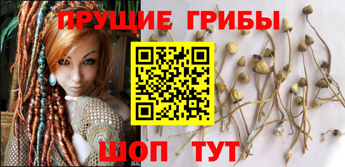 Галлюциногенные грибы GOLDEN TEACHER Дюртюли